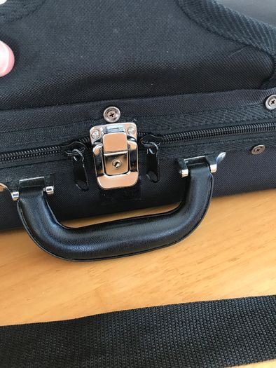 3/4 length violin