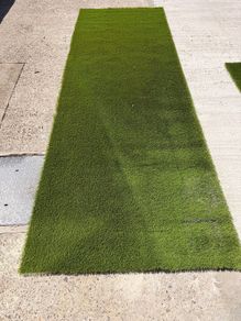 Astro Turf