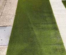 Astro Turf