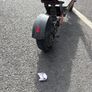 scooter Image 3