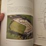 Places Along The Way. First Findings On The M3. Edited By Mary B.deevyand Donald Murphy.  First Edition Large Volume Paperback In Good Condition See Photos For Same . Image 10