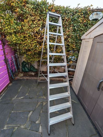ladder
