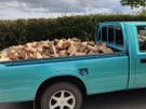 Firewood Image 2