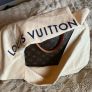 Louis Vuitton Palmais MM Image 4