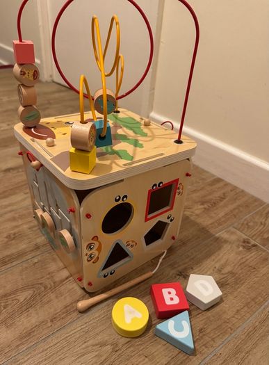 Electronic and Wooden Toys Bundle