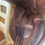 Gorgeous 17 Fox Saddle Image 10