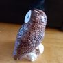 Beswick Owl Image 3