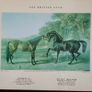 Antique oak framed trio of "The British Stud" prints Image 3