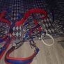 shetland pony harness Image 6