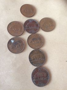coins