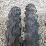 2x20 inch tyres and tubes Image 2