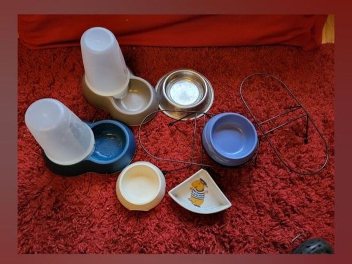 Dog bowl