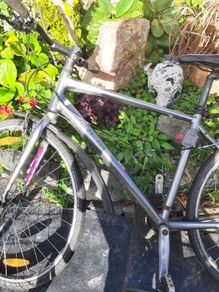 track bike