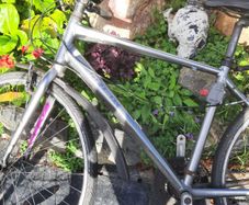 track bike