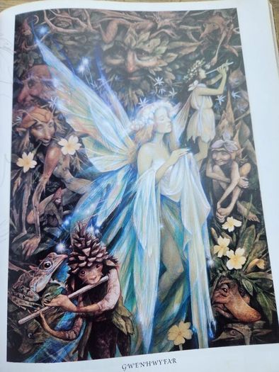 Good Faeries Bad Faeries. By Brian Froud. Edited By  Terri Windling. First Edition Large Volume Paperback In Very Good Condition.