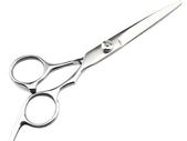 Professional Pet Straight Blade Scissors