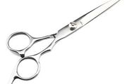 Professional Pet Straight Blade Scissors