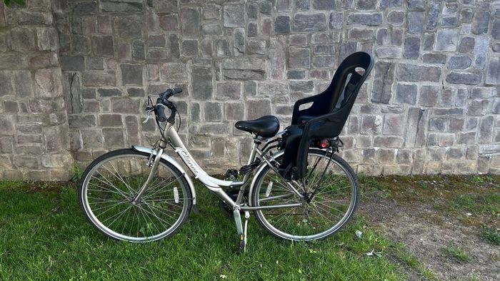 ladies bike