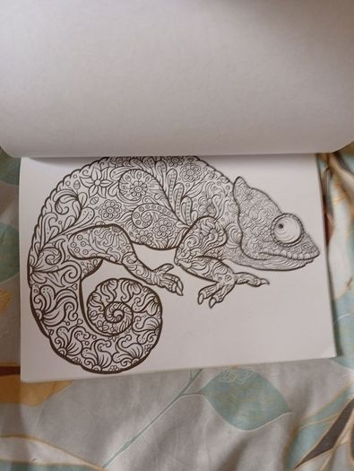 Therapeutic Colouring Books x 2