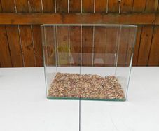 glass fish tank
