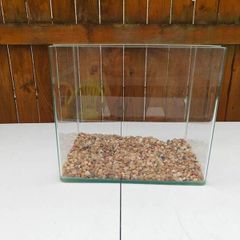 glass fish tank