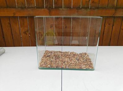 glass fish tank