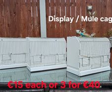 Small bird display ir mule cages