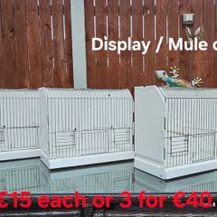 Small bird display ir mule cages