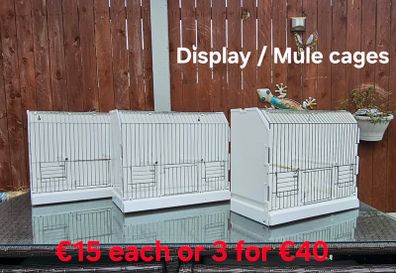 Small bird display ir mule cages