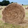 Quality Hay Image 2