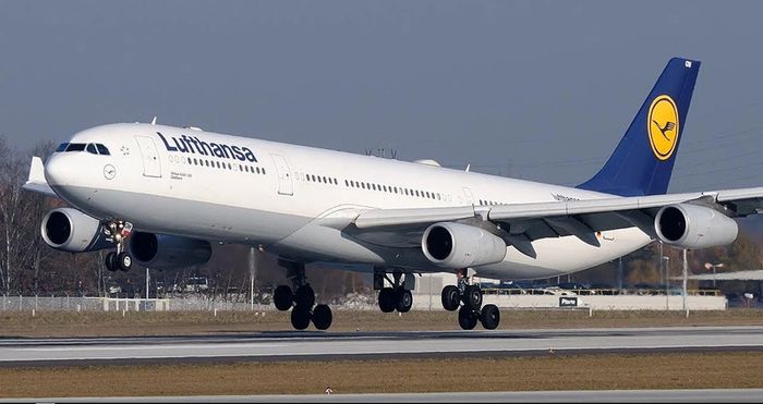 Mounted Airbus A340-300  CFM 56-5C Stage 1 Titanium Jet Engine Blade, Aircraft, Aviation