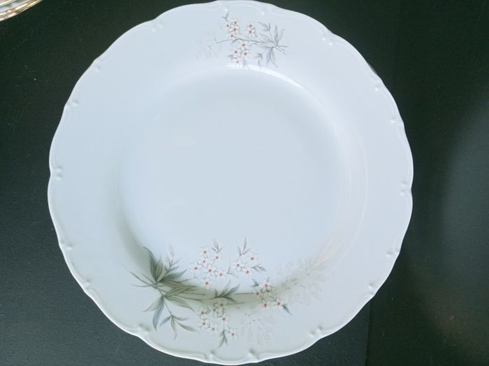 MZ Moritz Zdekauer Bohemian Porcelain Dinnerware
