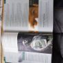 Leaving Cert Book- Othello Image 3