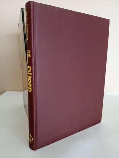 The Hidden Durer by Peter Strieder (GT561)
