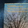 Randy Travis Storms of life vinyl LP 1988 Image 3