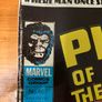 Comic: 'Planet Of The Apes' no. 46 / 1975 Image 2