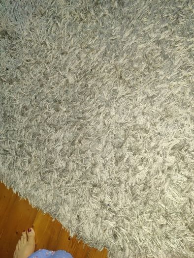 rug