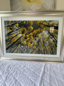 2 x pictures 105cm x 75cm