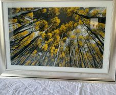 2 x pictures 105cm x 75cm