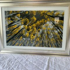 2 x pictures 105cm x 75cm