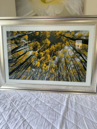 2 x pictures 105cm x 75cm