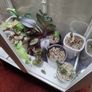 DIY Glasshouse Milsbo + lighting + Accessories Image 6