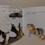 Babette Cole Book Image 5