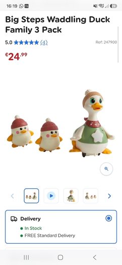 Big Steps waddling duck family