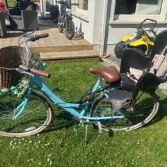 ladys bike with basket