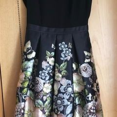 Ted Baker - Felcity Gem Gardens Pleasted Dress (Size 2/ UK 10)