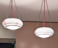 Vintage flycatcher ceiling shades