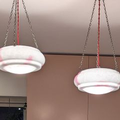 Vintage flycatcher ceiling shades