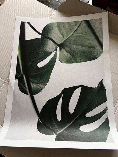 Desenio artwork print sets