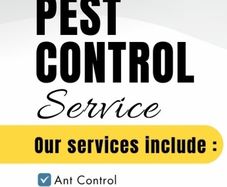 Pest Control